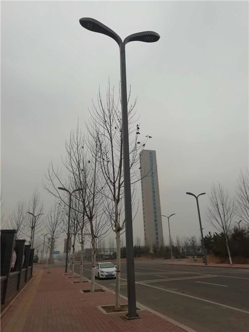 太陽能91免费版网站